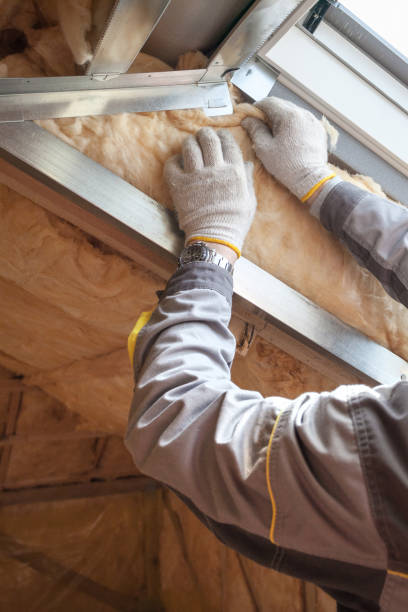 Best Geographic-Specific Insulation Services in Lake Monticello, VA